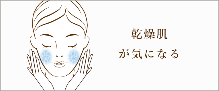 乾燥肌が 気になる 